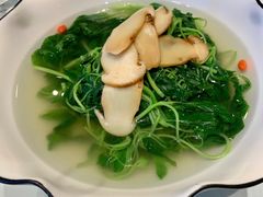 泉水松茸煮苋菜-悦融·京鲁菜·露台花园(安定门店)
