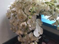 -Cafe de Paris(林荫路店)