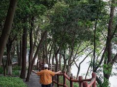 -铁山坪森林公园