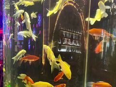-甲丁坊·德餐·酒吧(五棵松华熙店)
