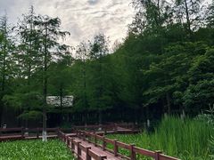-八卦田遗址公园