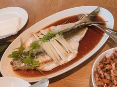 -宁波柏悦酒店·钱湖渔港