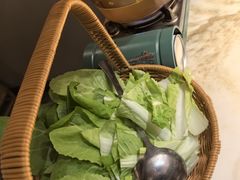 -佬肥猫(国华广场店)