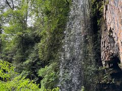 -龙苍沟森林公园