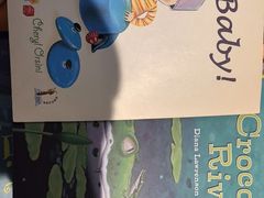 -安妮花英语·少儿·原版阅读(青岛远洋中心馆店)