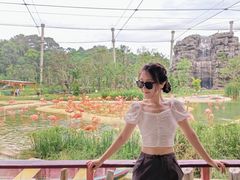 -新加坡飞禽公园