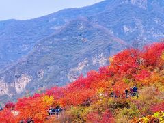 -周口店坡峰岭风景区