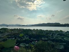 -湖畔居茶楼(湖滨店)