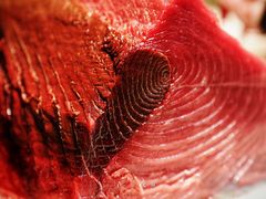 金枪鱼大腩-月下料理(楷林IFC店)