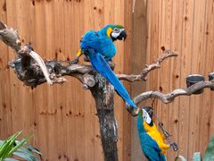 -南宫五洲植物乐园