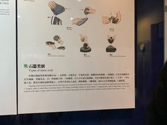 -大米先生(大洲中百店)