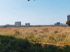 -光明小镇欢乐田园