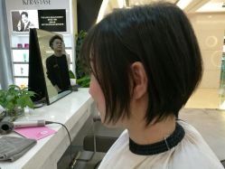 -艺之剪