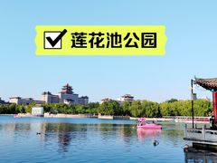 -莲花池公园