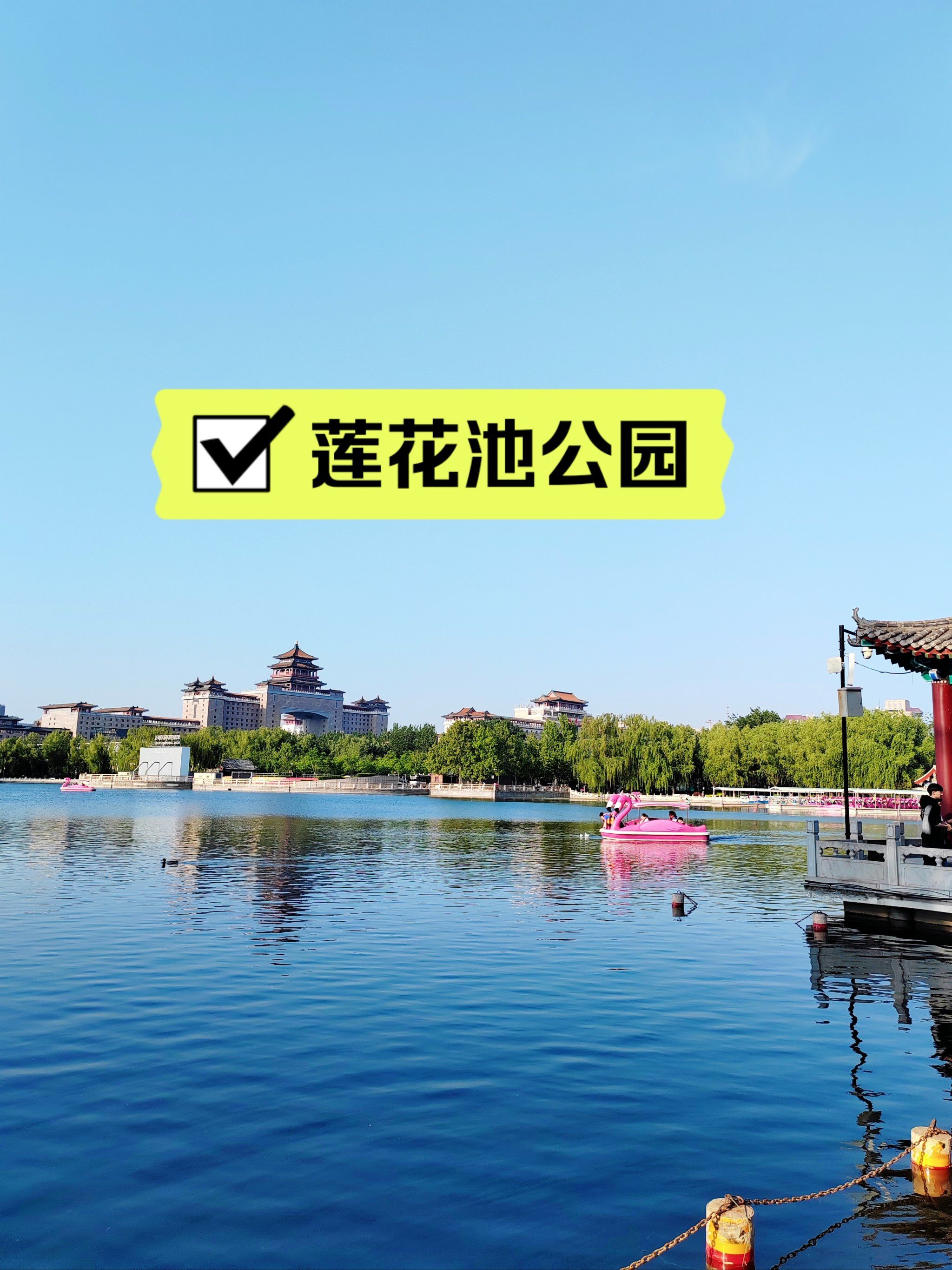 莲花池公园实拍