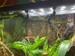 -酷嗒动物文化乐园(cutezoo西溪乐天城店)