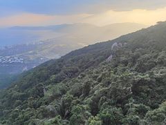 -三亚亚龙湾人间天堂鸟巢度假村