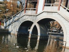 -团结湖公园