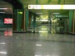 -大龙山(地铁站)