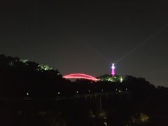 -金鸡山公园