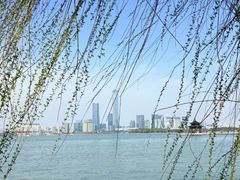 -金鸡湖景区