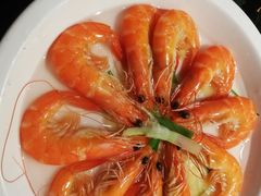 -新白鹿餐厅(悠迈生活广场店)