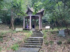 -紫金山山顶公园
