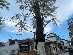 -西溪南古村落景区