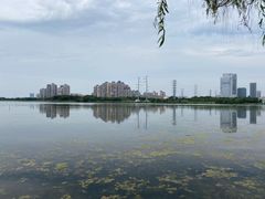 -金银湖国家城市湿地公园