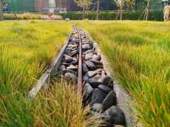 -张之洞与武汉博物馆