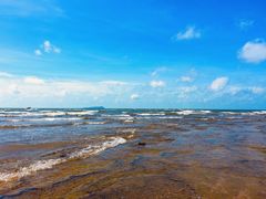 -牛市口盲人按摩(舒康分院)