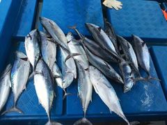 -惠州金海湾嘉华度假酒店