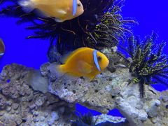 -海合安青岛极地海洋公园