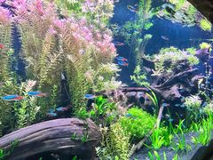 -上海海洋水族馆