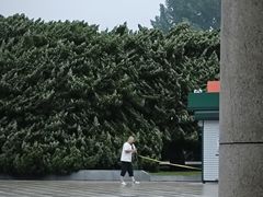 -旅顺博物馆