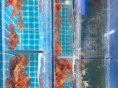 -渔人湾码头海鲜市场负二楼