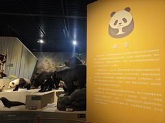 -深圳博物馆历史民俗馆