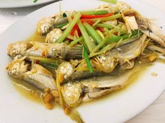 -老三鱼仔店