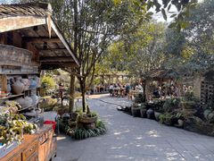 -青城甲(青城山店)