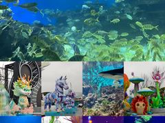 -海合安武汉极地海洋公园