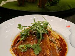 -东颖龙肥牛王(绵阳店)