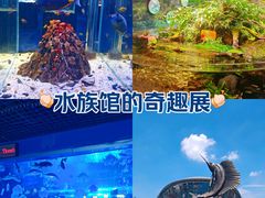 -海合安天津极地海洋公园