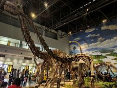 -自贡恐龙博物馆