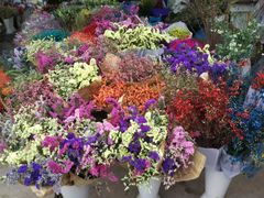 -三圣花乡旅游区