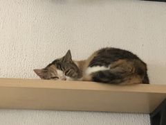 -隅cafe(傅厚岗店)