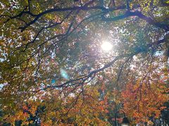 -苏州河梦清园环保主题公园