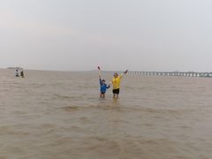 -南汇嘴观海公园