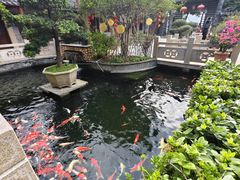 -顺德了能馆(虎门店)