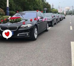 -蚂蚁婚车