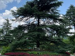 -贵阳市花溪国家城市湿地公园